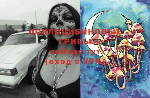 mdpv Верхний Тагил