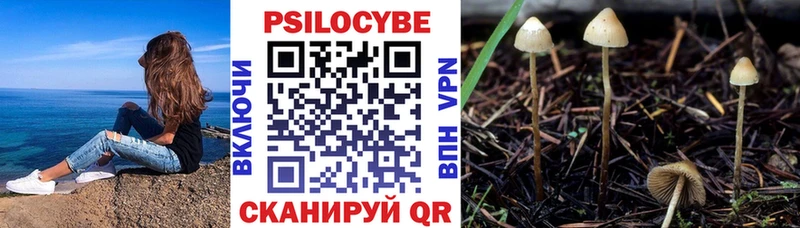 Купить где  Артёмовский  Псилоцибиновые грибы мухоморы 